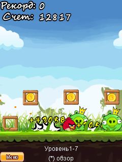 Angry Bird cho s40